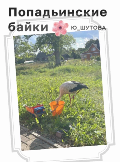 Попадьинские байки fb2 скачать бесплатно Попадьинские байки