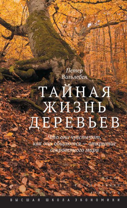 Тайная жизнь деревьев. Что они чувствуют, как они общаются – открытие сокровенного мира fb2 скачать бесплатно Тайная жизнь деревьев. Что они чувствуют, как они общаются – открытие сокровенного мира